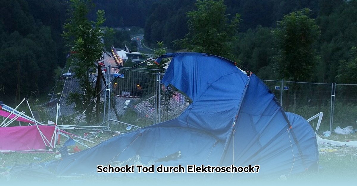 electric-love-tod